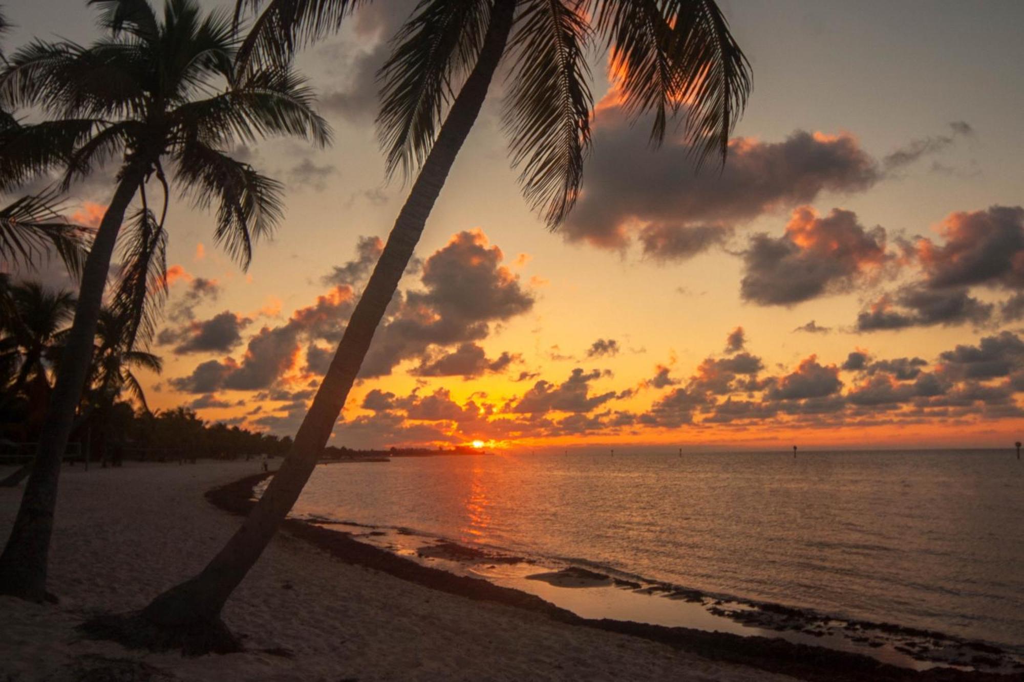 Truman Key West Phòng bức ảnh